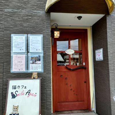 猫カフェ スマイルアゲイン 伊丹 カフェ Retty 猫カフェ スマイルアゲイン 伊丹 カフェ Retty