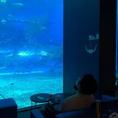 カフェ オーシャンブルー 本部 カフェ Retty カフェ オーシャンブルー 本部 カフェ Retty