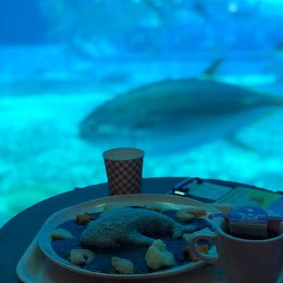 カフェ オーシャンブルー 本部 カフェ Retty カフェ オーシャンブルー 本部 カフェ Retty