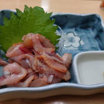 口コミ一覧 だるま Retty 日本最大級の実名型グルメサービス