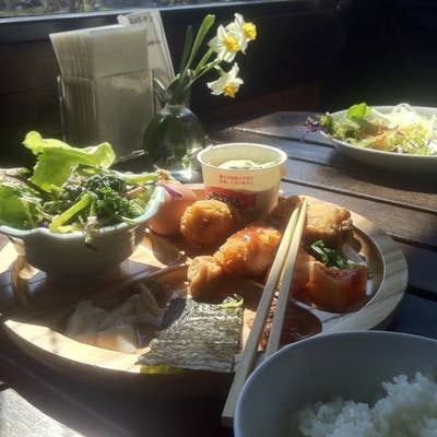 森の家庭料理レストラン つくば牛久店 牛久 龍ヶ崎 和食 Retty
