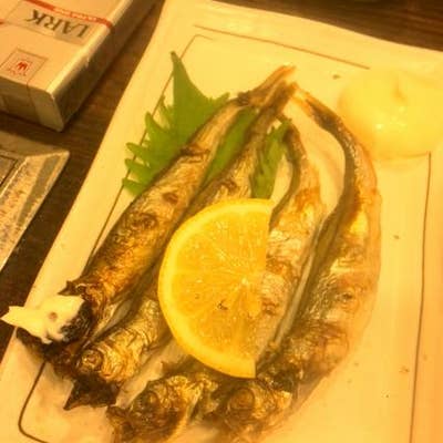 居酒屋 花より団子 登戸 居酒屋 Retty