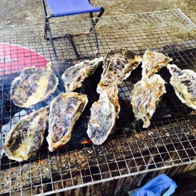 西海パールシーリゾート 佐世保 魚介 海鮮料理 Retty
