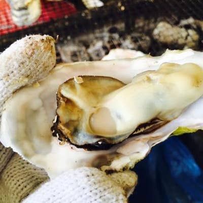 西海パールシーリゾート 佐世保 魚介 海鮮料理 Retty
