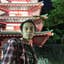 Satoshi Saito