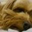 Tammy_6221