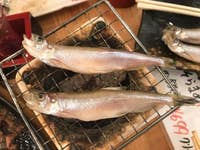 魚 本店 ししゃもの炙り焼きネギの丸焼きマグロのテール焼きな 新橋