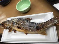 清流の里 ニジマスと岩魚が放流されている釣り堀で 釣りを楽 那須