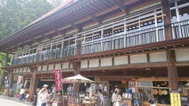 三峰お犬茶屋 山麓亭 19 5 26訪問山から降りてきて食べたかき氷 秩父