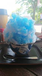 三峰お犬茶屋 山麓亭 19 5 26訪問山から降りてきて食べたかき氷 秩父