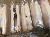 千疋屋総本店 羽田空港第2ターミナル店 羽田空港 東京駅限定 プレミアム レーズンサンド 羽田空港