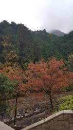 お食事処 扇 牛滝温泉 四季まつり 19 11訪問 牛滝温泉元いよやかの里が経営母 岸和田