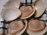 蛤料理 日の出 はまぐり 本物の 大和はまぐり を満喫できる料亭です 旬は 桑名