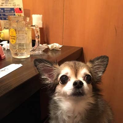 S Metazushiさんのオススメ 和味焼肉 うしすけ 本店 Retty 日本最大級の実名型グルメサービス