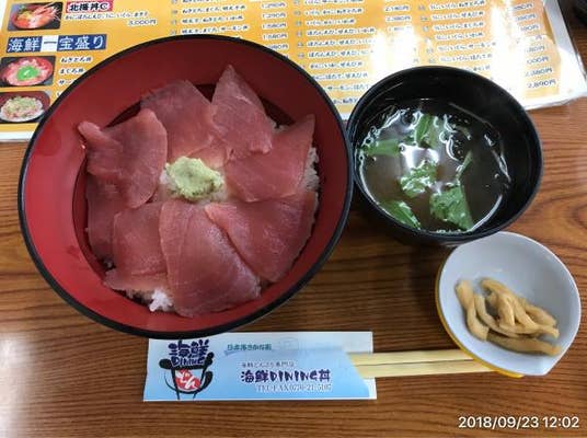 日本海さかな街 海鮮ダイニング丼 敦賀 海鮮丼 Retty 日本海さかな街 海鮮ダイニング丼 敦賀 海鮮丼 Retty