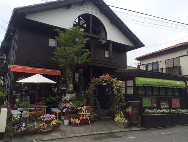 ジャニーズJr. - ご飯 なにわ男子の藤原丈一郎＆Travis Japanの七五三掛龍也、台湾で