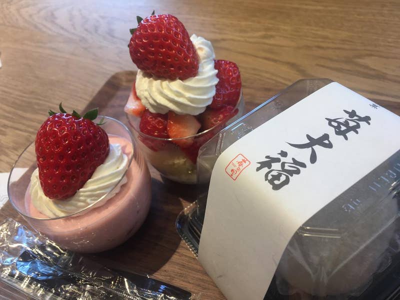 苺④えりさん専用 こがくらふとあいす＆ 8個セット（4種アソート） – HARIO NETSHOP