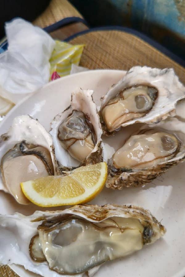 牡蠣たん 牡蠣と牛タン 牡蠣酒場きうら(大宮駅/居酒屋)＜ネット予約可