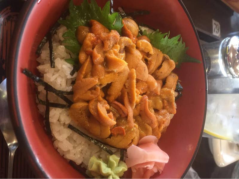 送料無料 日本 5764393.jpg その他