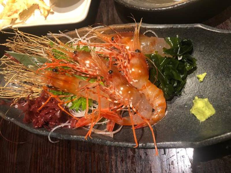 Tomoko Sasabuchiさんのオススメ：活菜旬魚 さんかい 琴似店 Retty 日本最大級の実名型グルメサービス