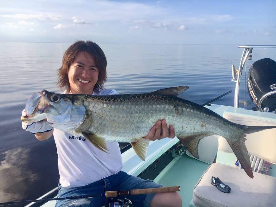 これがターポン。古代魚の一種で、一度に産む卵の数は1200万個らしい