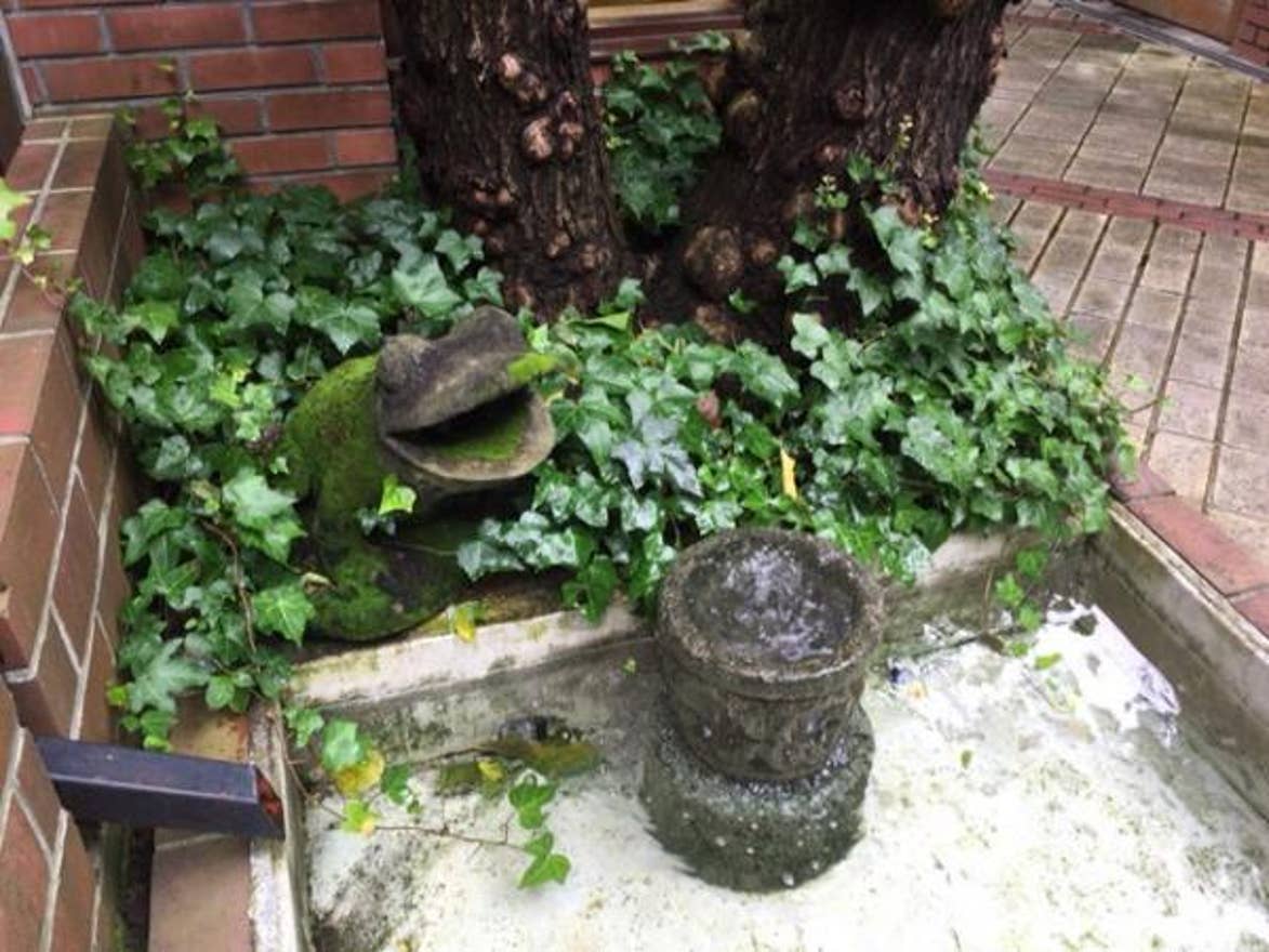 21年最新 盛岡 八幡平 雫石のカフェで今年人気のおすすめ10店 Rettyまとめ